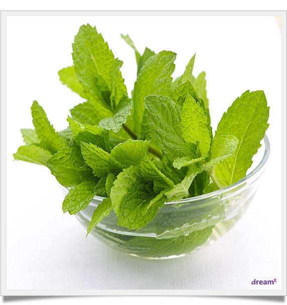 Spearmint e cig juice
